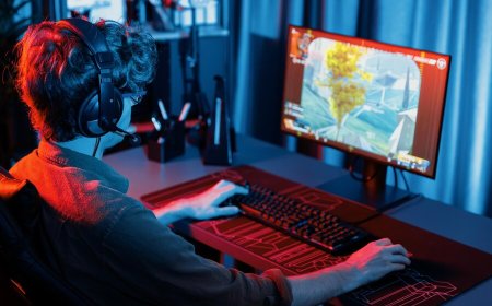 White Label vs. Custom Sportsbook: Which One Is Right for You?