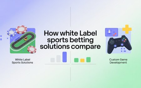 How White Label Sports Betting Solutions Compare to Custom Game Development