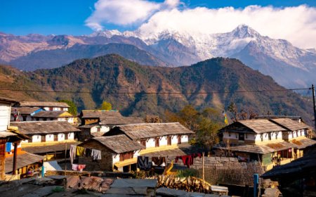 How to make Annapurna Sanctuary Trek Considered A Jaw-Dropping Experience.