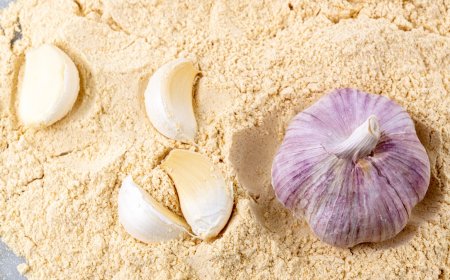 Comprehensive Approach to Setting Up a Garlic Powder Manufacturing Plant | IMARC Group Report