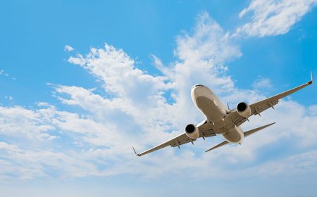 Hotel & Transit Help via Singapore Airlines Dallas Contact