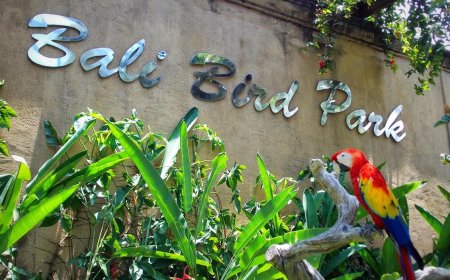 Everything You Need to Know About Bali Bird Park Tiket