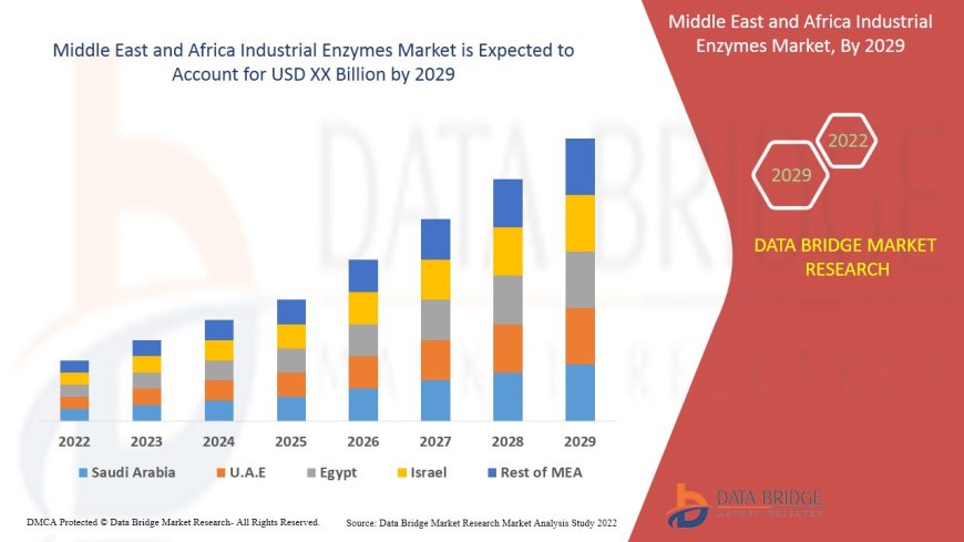 Industrial Innovation Spurs MEA Industrial Enzymes Market Expansion