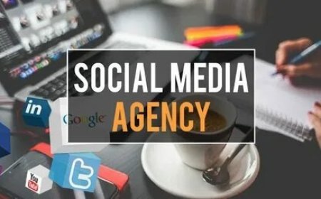 How to Choose the Best Social Media Marketing and SEO Company in Ghaziabad