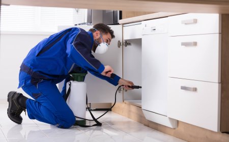 Protecting Structures from Silent Destroyers: A Complete Termite Control Guide