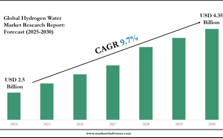 Hydrogen Water Market Forecast: Demand, Value & Player Insights 2030