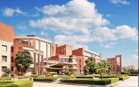 Explore the Best MBA Programs at Amity University Noida