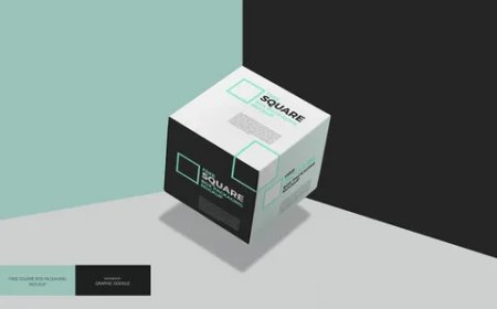 Custom CBD Boxes for Your Brand – Manufactured in the USA