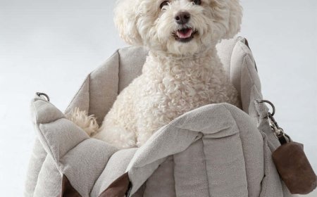 Ensuring Safe and Comfortable Travel with a Reliable Puppy Car Carrier