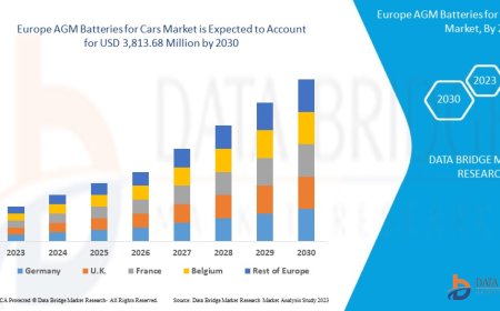 Europe AGM Batteries for Cars Market: Trends and Growth Opportunities