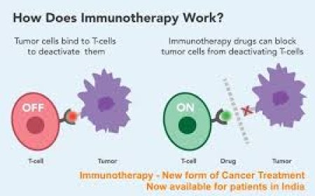 Immunotherapy vs Chemotherapy- Which Is Better for Cancer Treatment?