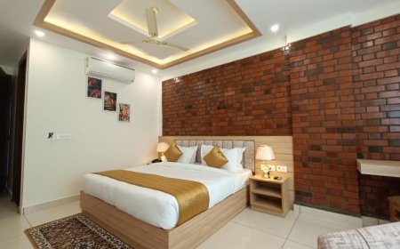 Eco-Friendly Luxury at Hotel Royal Palm