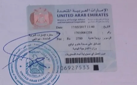 UAE Embassy Attestation and Its Growing Importance