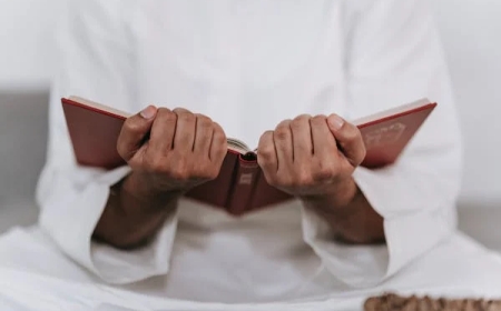 Understanding How Learn Arabic Online Works