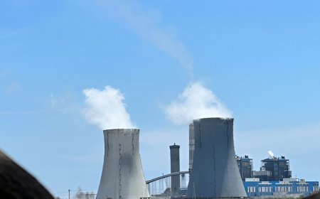 Nuclear Power Plant In India