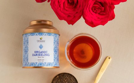 Why Black Tea Powder Is the Perfect Gift for Tea Lovers