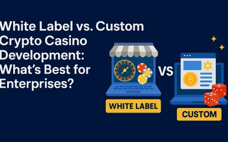White Label vs. Custom Crypto Casino Development: What’s Best for Enterprises?