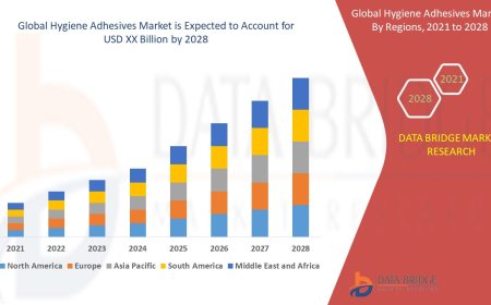 Hygiene Adhesives Market Size, Status and Industry Outlook During 2028