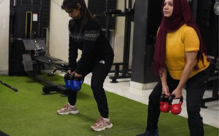 Best Fitness Gym Workouts for Beginners