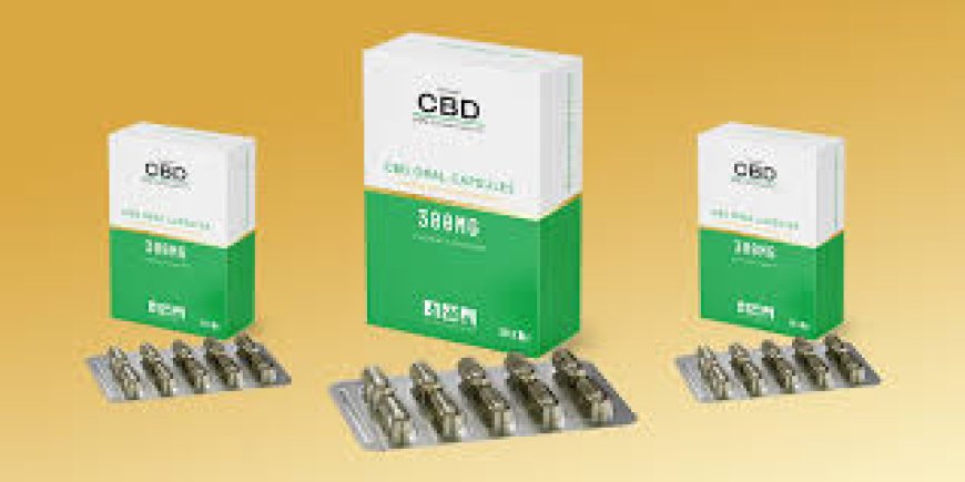 Elevate Packaging Appeal with Value-Driven Custom CBD Pills Boxes